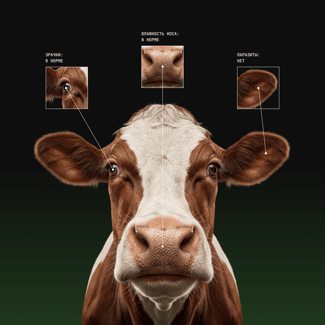 Агент для умного коровника 